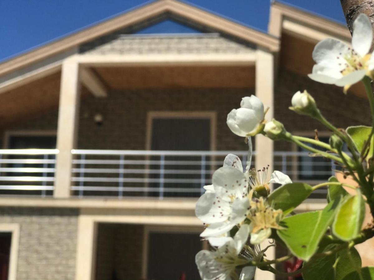 Villa Garden Shkodra Eksteriør bilde