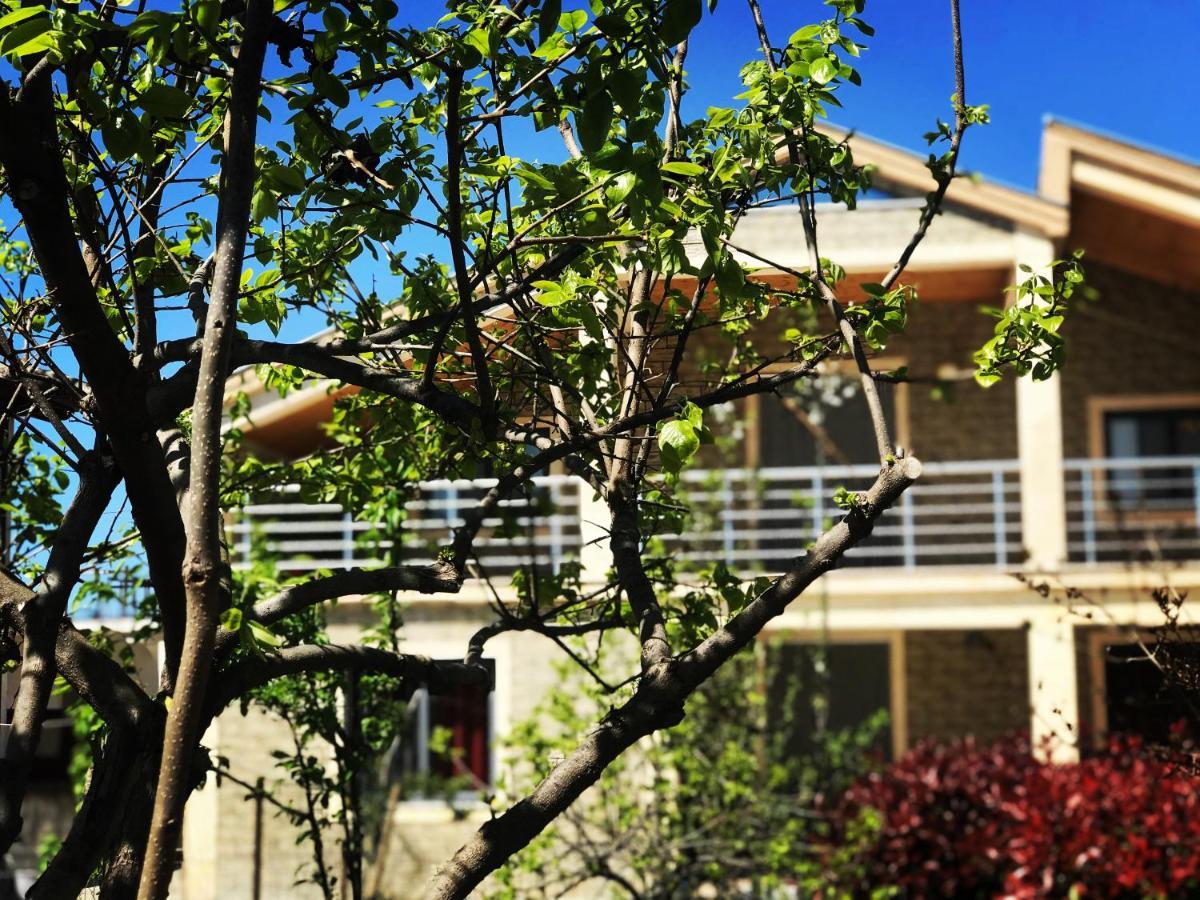 Villa Garden Shkodra Eksteriør bilde